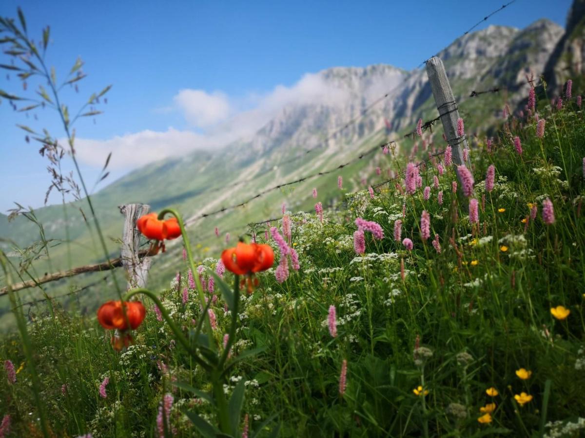Mountain Lodge Forte Emilia Kobarid Buitenkant foto