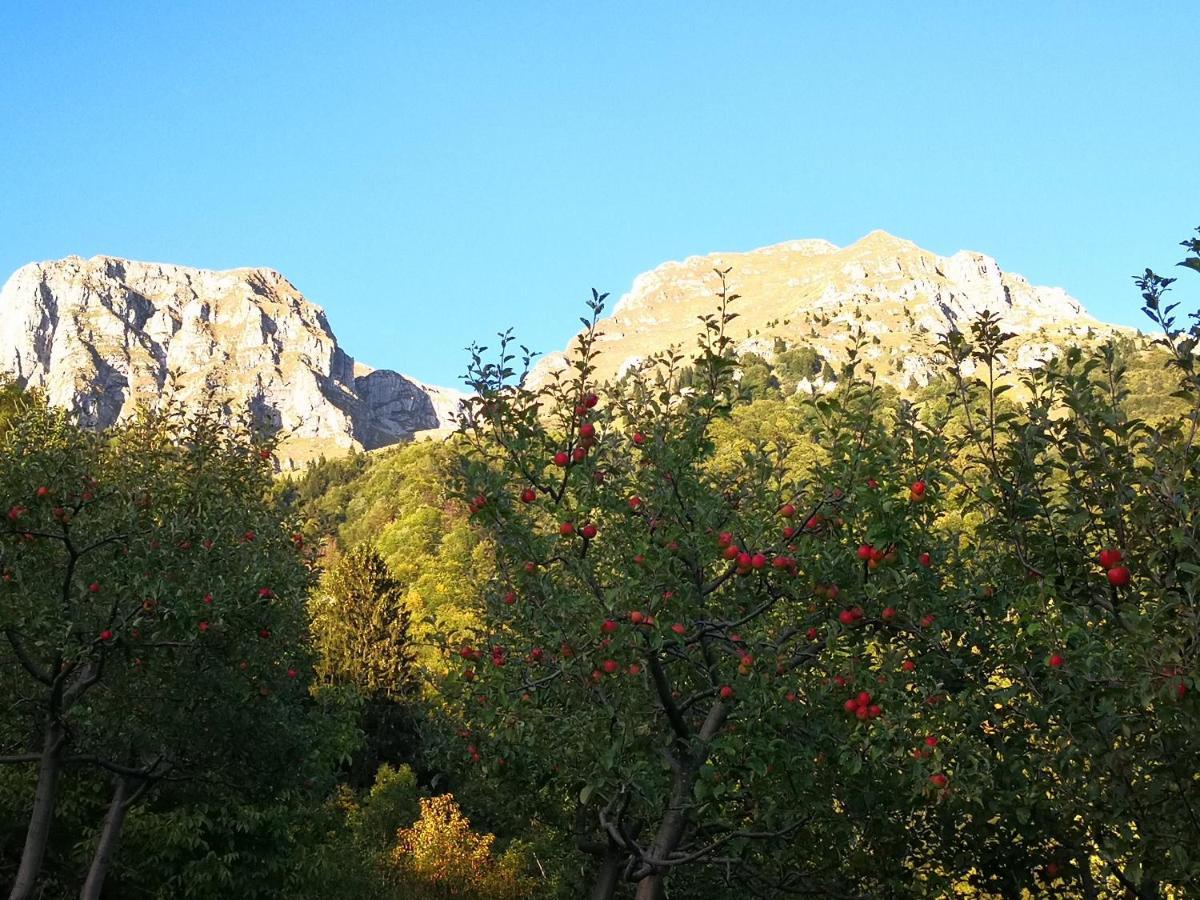 Mountain Lodge Forte Emilia Kobarid Buitenkant foto