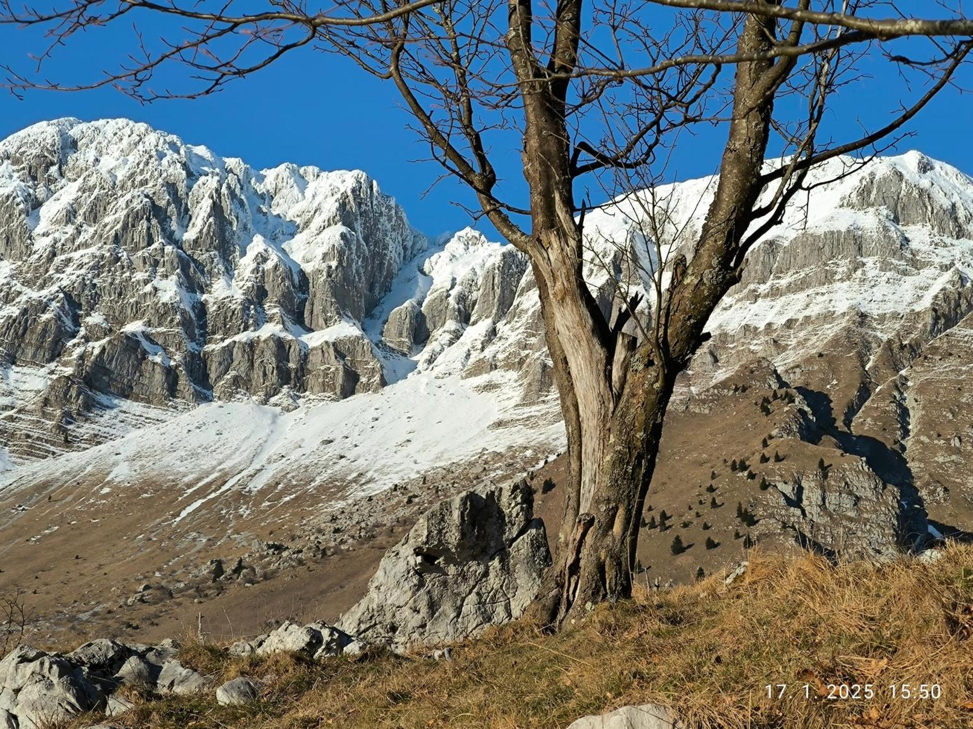 Mountain Lodge Forte Emilia Kobarid Buitenkant foto